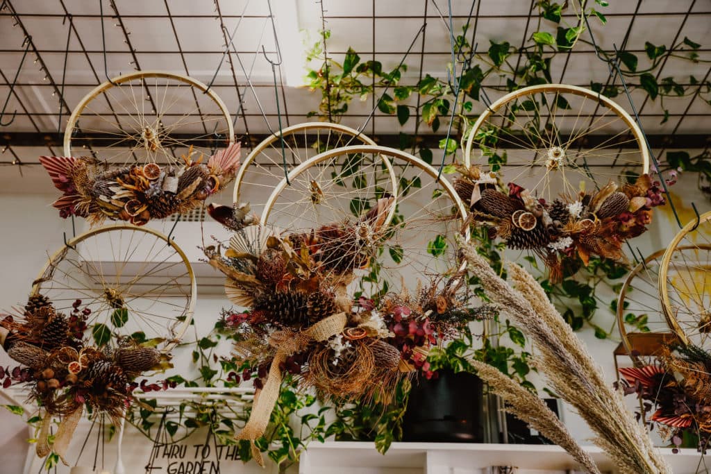 Plants