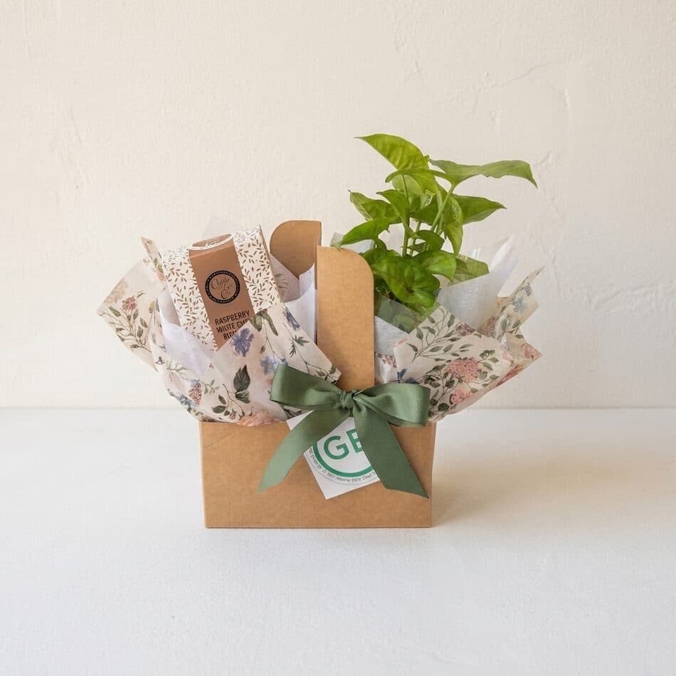 Houseplant Carrier Set