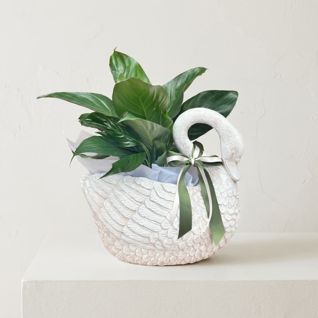 Sally Swan Planter